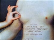 Milenky a metresy francouzských panovníků starého režimu - Jejich osudy, rodiny, sídla