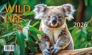 Mláďata Wild life 2026 - stolní kalendář