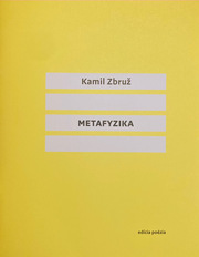 Metafyzika