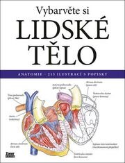 Vybarvěte si lidské tělo