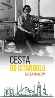 Cesta do Istanbulu