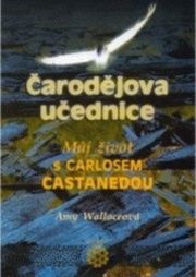 Čarodějova učednice
