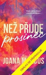Než přijde prosinec