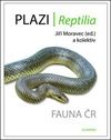 Plazi