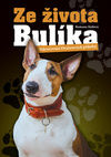 Ze života Bulíka