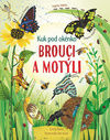 Brouci a motýli