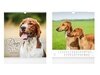 Dogs 2026 - nástěnný kalendář