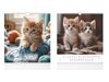 Cats 2026 - nástěnný kalendář