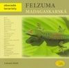 Felzuma madagaskarská