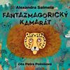 Fantazmagorický kamarát (audiokniha na CD)