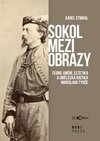 Sokol mezi obrazy