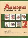 Anatómia ľudského tela 2