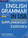 English Grammar in Use Supplementary Exe