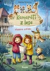 Hľadanie pokladu