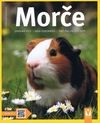 Morče