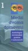 Medzi dvoma domovmi