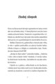 B102L10000137_zachranna-stanica-rys-leo-list1