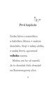 B102L10000571_co-robila-zorka-v-pondelok-list3