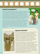 b102l10000748_my-sme-historia1_5