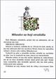 mnauko001_www.jpg